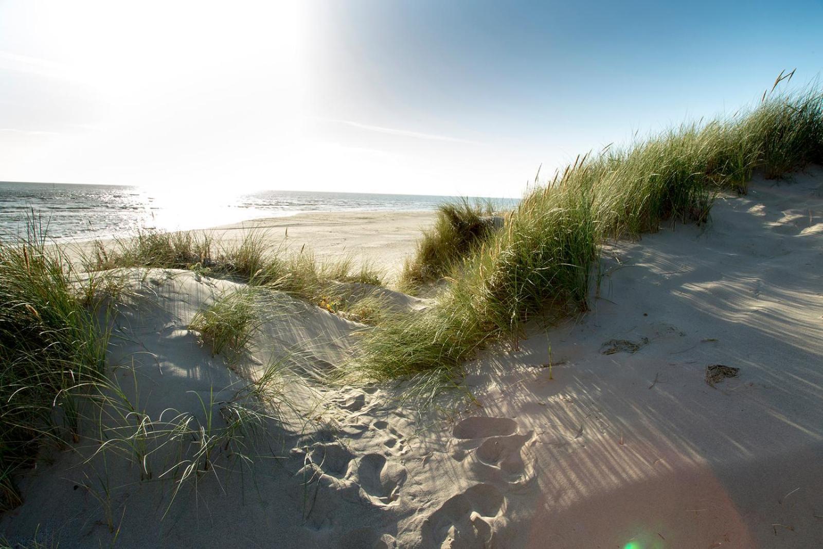 Barmouth Bay Holiday Park Llanddwywe Екстериор снимка